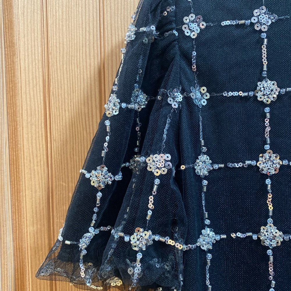 NWT Elegant Silk and Beaded Top. - Picture 5 of 8